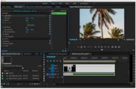 torrent adobe premiere pro cc 2020